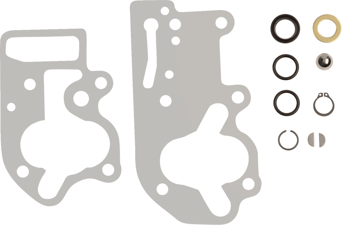 JAMES GASKET DS-173374 Mylar® Gasket/Seal Kit - EVO/Big Twin/Shovelhead