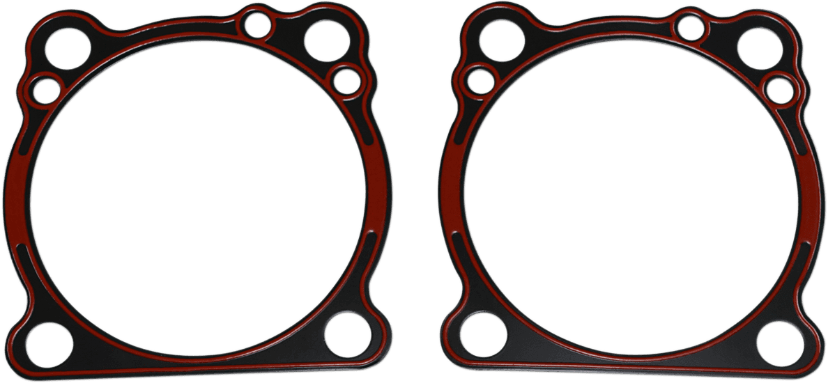 JAMES GASKET DS-174117 Metal Base Gasket - XL
