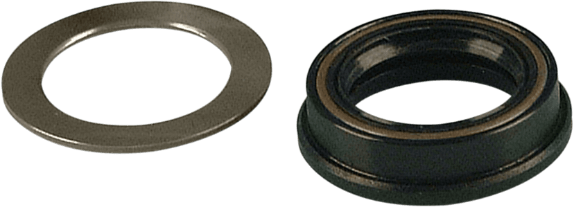 JAMES GASKET DS174205 Sprocket Shaft Seal - Big Twin — image 1 of 2