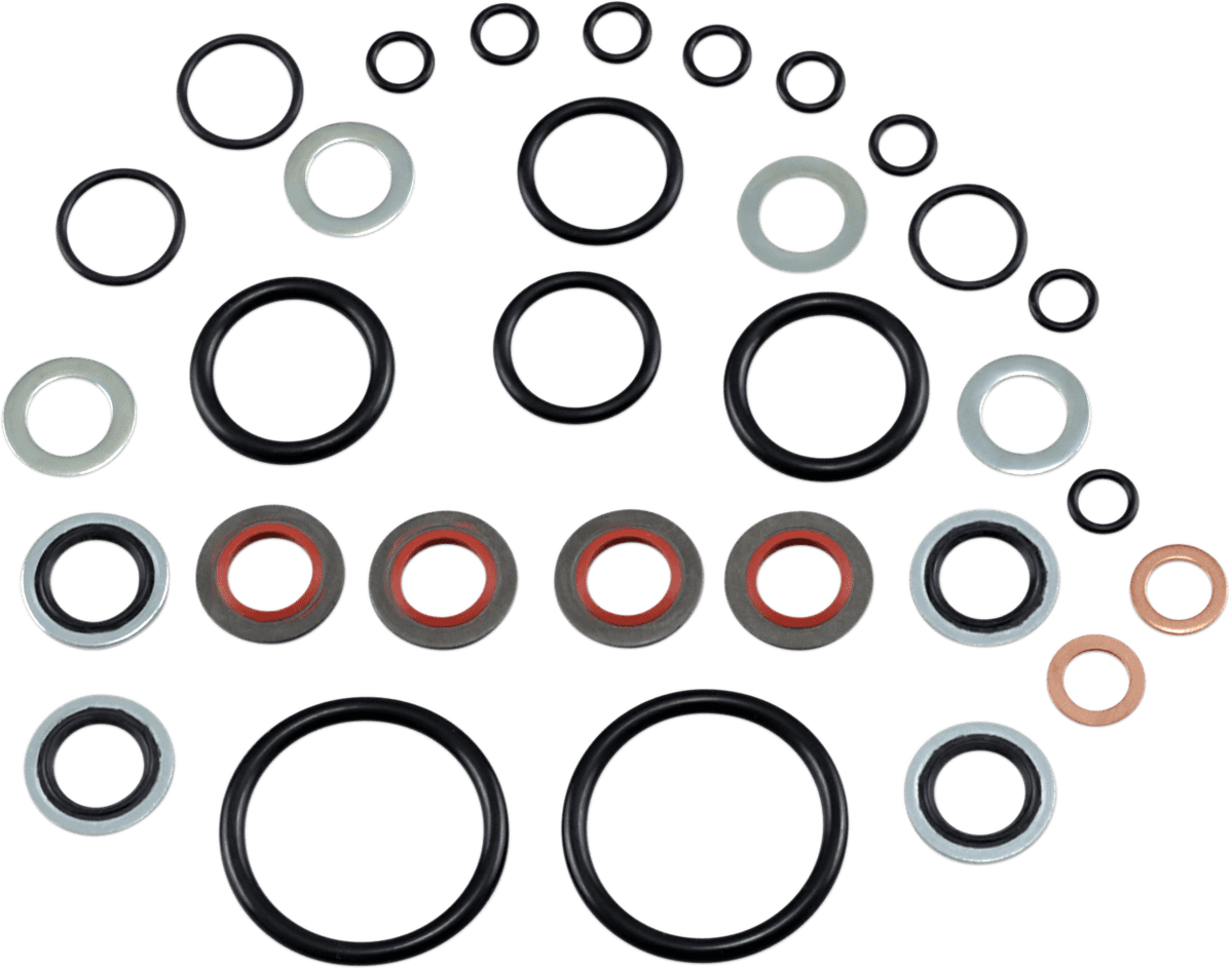 JAMES GASKET DS-174904 Air Control O-Ring Kit