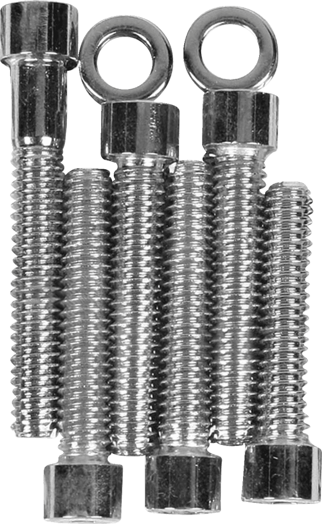 DRAG SPECIALTIES DS-190398S Bolt Kit - Cam Cover - Smooth - Chrome - '93-'00 Harley-Davidson