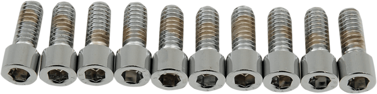 DRAG SPECIALTIES DS-190534S Bolts - Socket-Head - Smooth - 1/4-20 x 5/8"