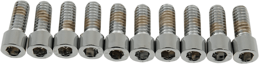 DRAG SPECIALTIES DS-190534S Bolts - Socket-Head - Smooth - 1/4-20 x 5/8"