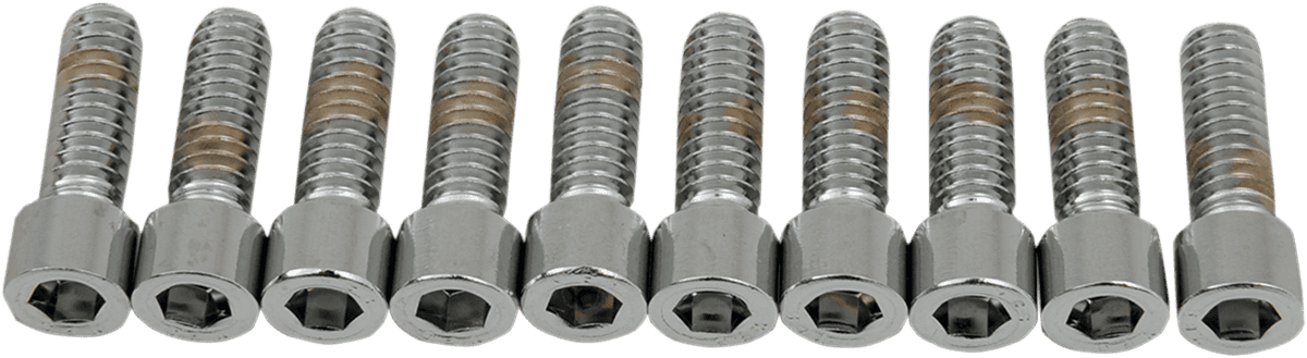 DRAG SPECIALTIES DS-190535S Bolts - Socket-Head - Smooth - 1/4-20 x 3/4"