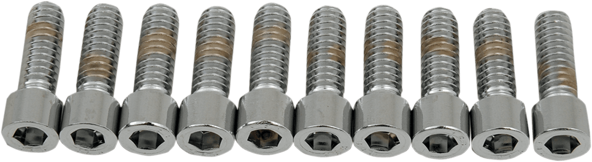DRAG SPECIALTIES DS-190535S Bolts - Socket-Head - Smooth - 1/4-20 x 3/4"