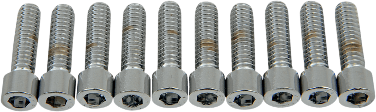 DRAG SPECIALTIES DS-190536S Bolts - Socket-Head - Smooth - 1/4-20 x 7/8"