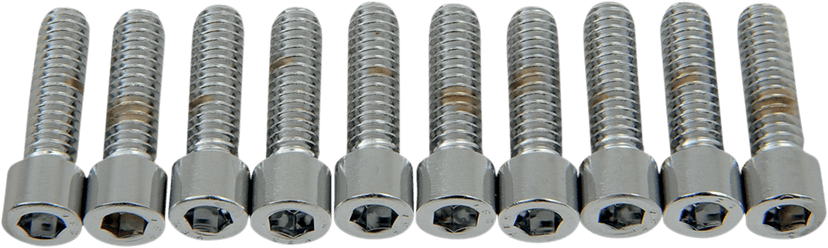DRAG SPECIALTIES DS-190536S Bolts - Socket-Head - Smooth - 1/4-20 x 7/8"
