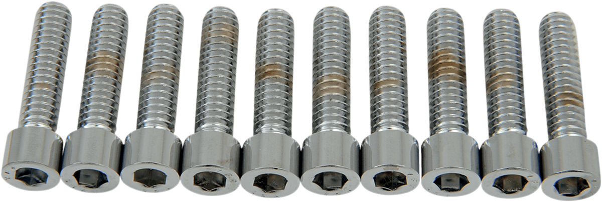 DRAG SPECIALTIES DS-190537S Bolts - Socket-Head - Smooth - 1/4-20 x 1"