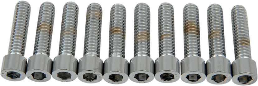 DRAG SPECIALTIES DS-190537S Bolts - Socket-Head - Smooth - 1/4-20 x 1"