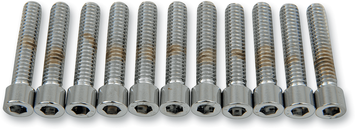 DRAG SPECIALTIES DS-190538S Bolts - Socket-Head - Smooth - 1/4-20 x 1-1/4"