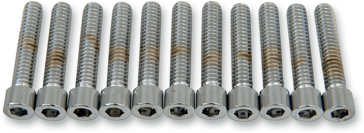 DRAG SPECIALTIES DS-190538S Bolts - Socket-Head - Smooth - 1/4-20 x 1-1/4"