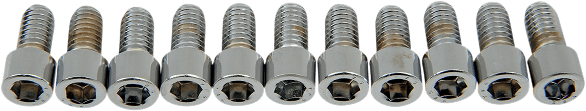 DRAG SPECIALTIES DS-190543S Bolts - Socket-Head - Smooth - 5/16-18 x 5/8"