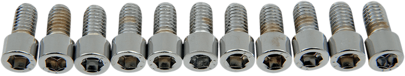 DRAG SPECIALTIES DS-190543S Bolts - Socket-Head - Smooth - 5/16-18 x 5/8"