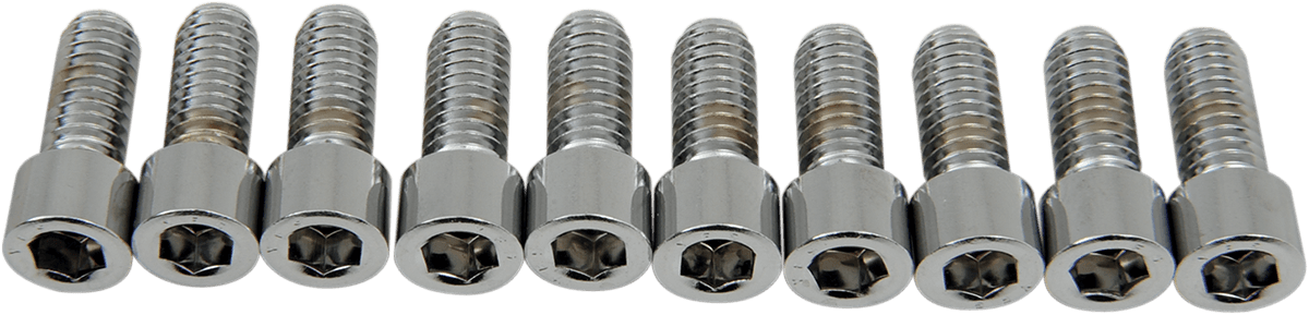 DRAG SPECIALTIES DS-190544S Bolts - Socket-Head - Smooth - 5/16-18 x 3/4"
