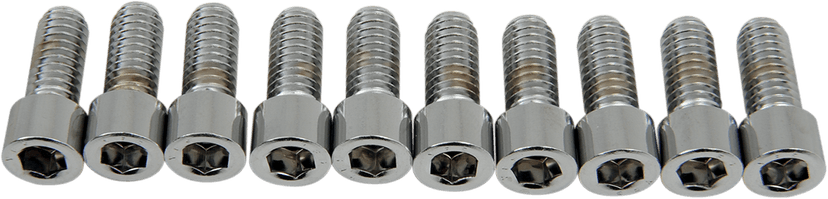 DRAG SPECIALTIES DS-190544S Bolts - Socket-Head - Smooth - 5/16-18 x 3/4"