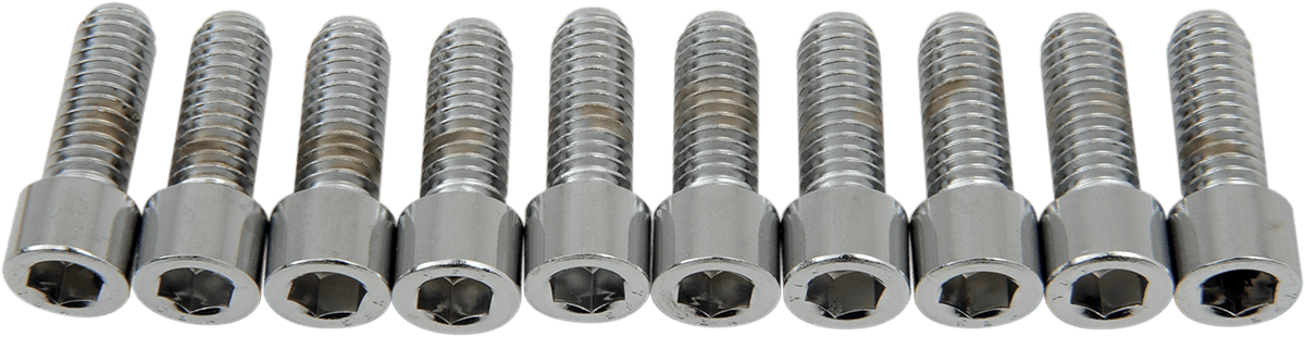DRAG SPECIALTIES DS-190545S Bolts - Socket-Head - Smooth - 5/16-18 x 7/8"