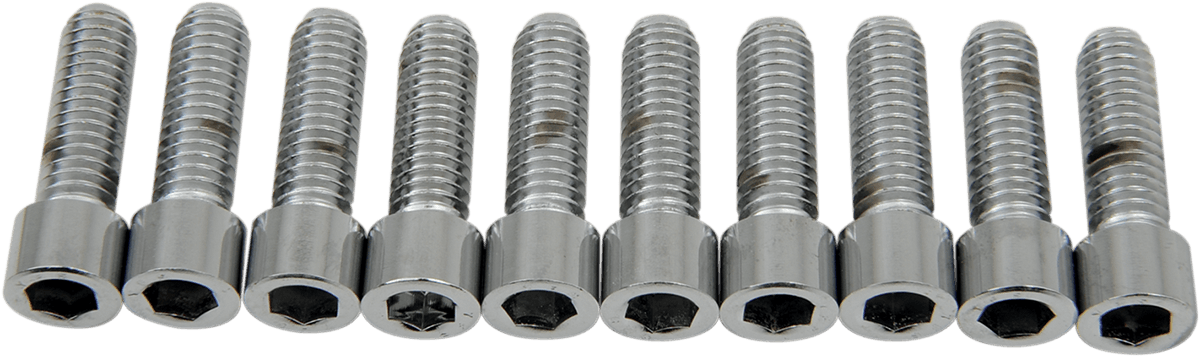 DRAG SPECIALTIES DS-190546S Bolts - Socket-Head - Smooth - 5/16-18 x 1"