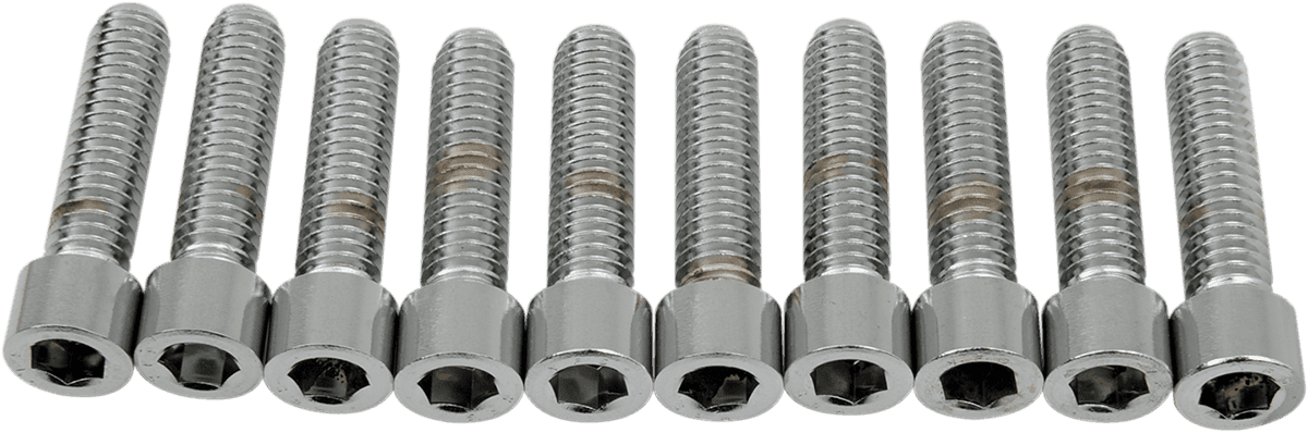 DRAG SPECIALTIES DS-190547S Bolts - Socket-Head - Smooth - 5/16-18 x 1-1/4"