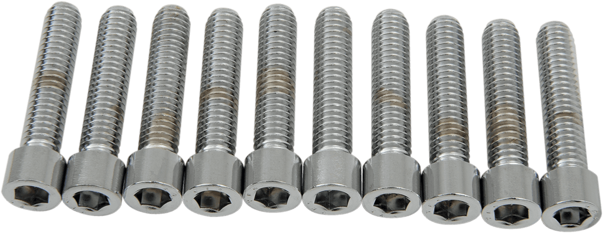 DRAG SPECIALTIES DS-190548S Bolts - Socket-Head - Smooth - 5/16-18 x 1-1/2"