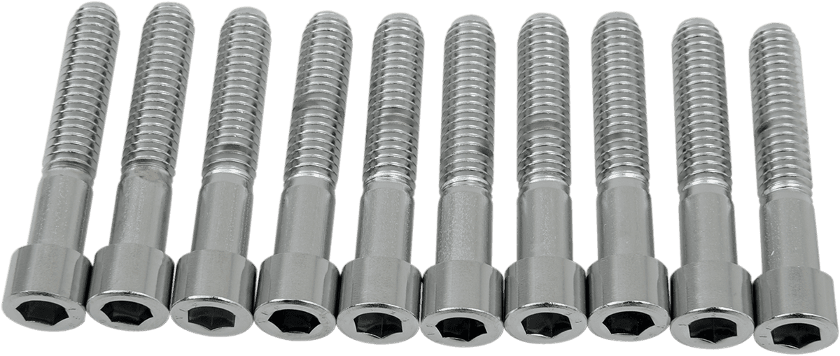 DRAG SPECIALTIES DS-190549S Bolts - Socket-Head - Smooth - 5/16-18 x 1-3/4"