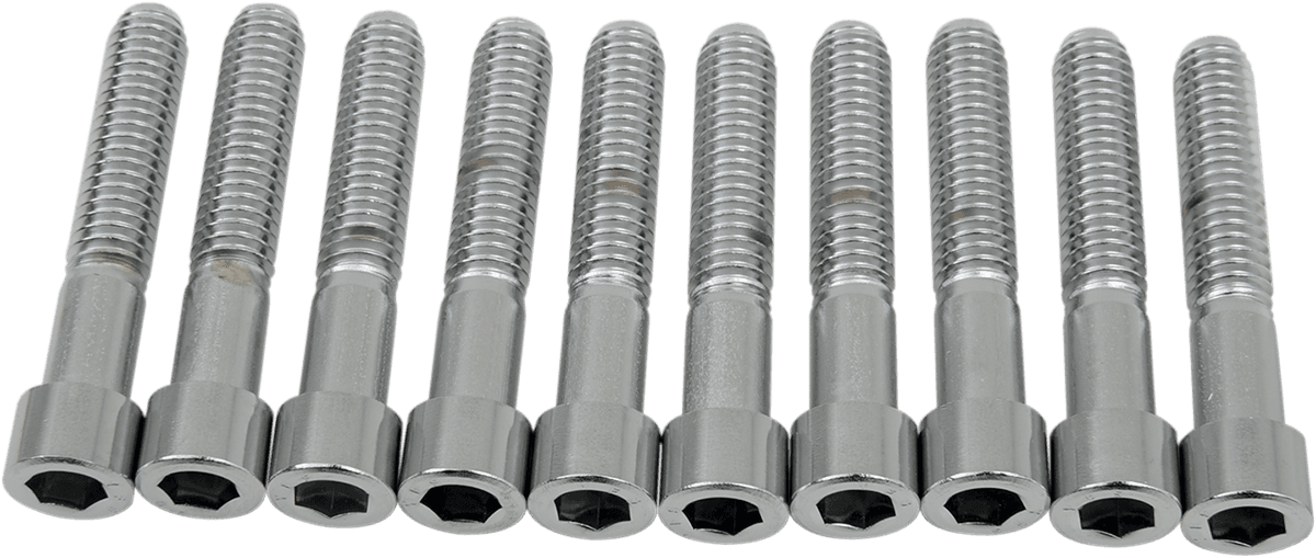 DRAG SPECIALTIES DS-190549S Bolts - Socket-Head - Smooth - 5/16-18 x 1-3/4"