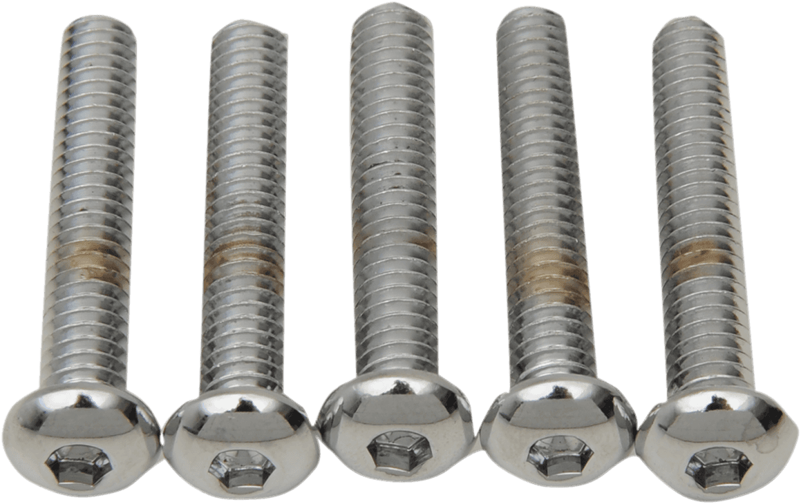 DRAG SPECIALTIES DS192322 Bolts - Button Head/Replacement - 1/4"-20 x 1-3/4" - 5 Pack