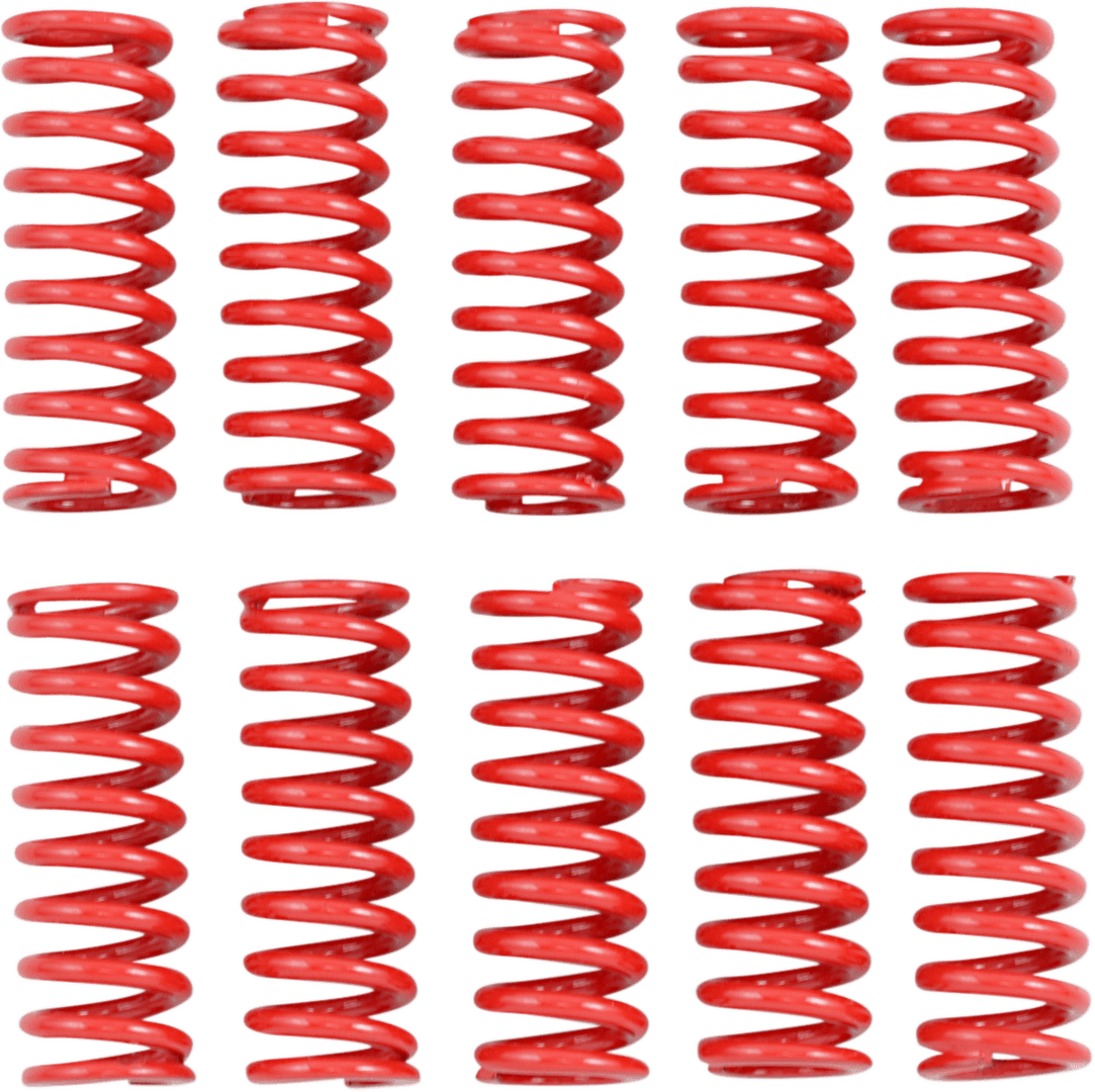 KIBBLEWHITE DS-199209 Heavy Duty Clutch Springs