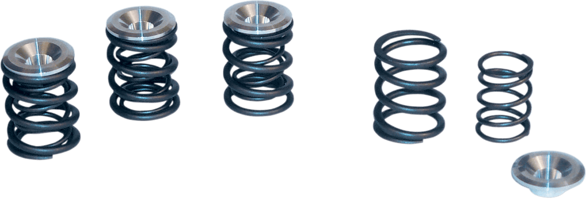 S&S CYCLE DS-199729 Valve Spring Kit - 0.550" Lift - Panhead | Shovelhead Engines '48-'84