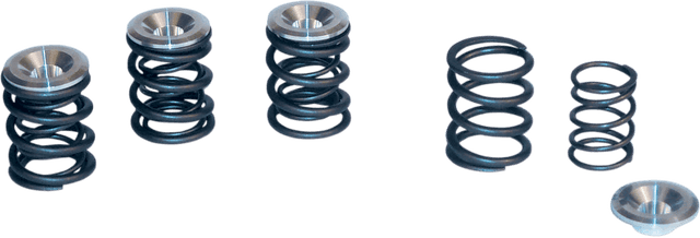 S&S CYCLE DS-199729 Valve Spring Kit - 0.550" Lift - Panhead | Shovelhead Engines '48-'84