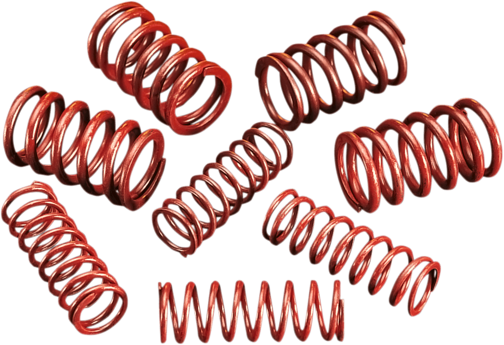 ANDREWS DS-199739 High-Lift Springs