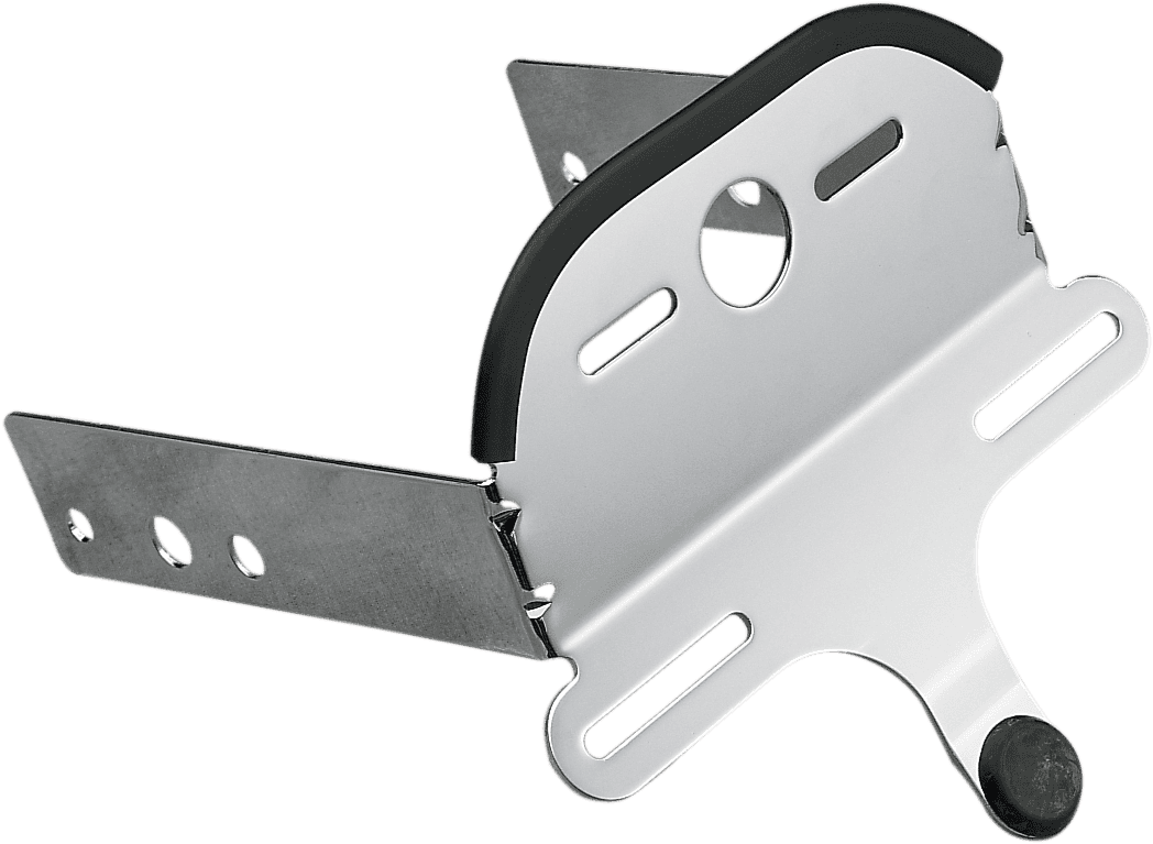 DRAG SPECIALTIES DS-270120 License Plate/Taillight Bracket - Harley Davidson