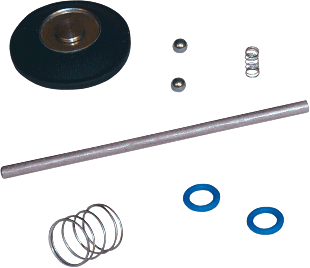 S&S CYCLE DS-289113 Accelerator Pump Rebuild Kit - Super E/G