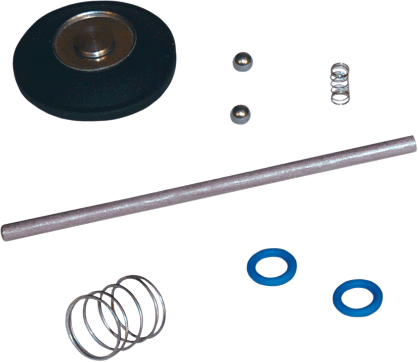 S&S CYCLE DS-289113 Accelerator Pump Rebuild Kit - Super E/G