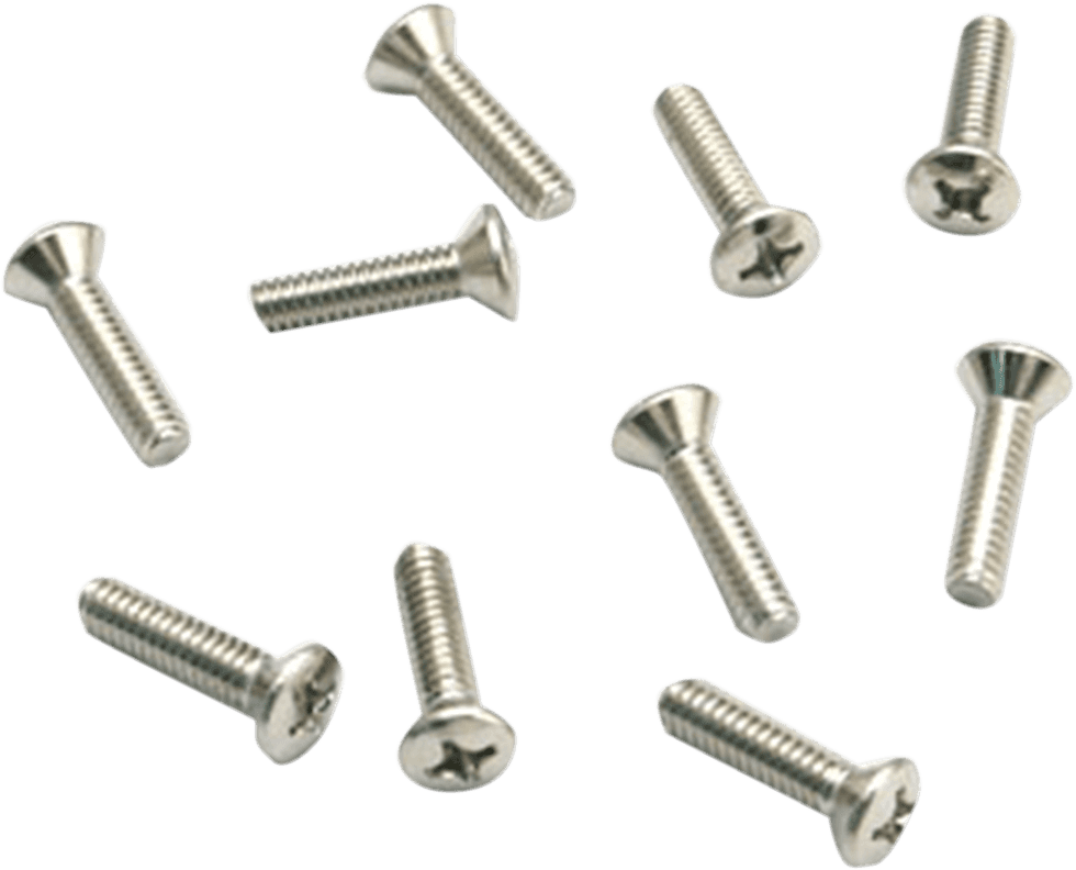 S&S CYCLE DS289405 Air Cleaner Cover Screws