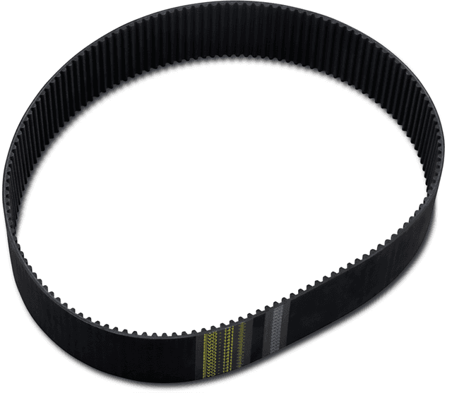 BELT DRIVES LTD. DS-360005 Replacement Primary Belt - 3" - 141T - 8 mm