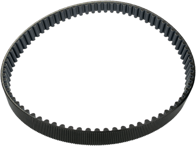 BELT DRIVES LTD. DS-360018 Replacement Primary Belt - 1-1/8" - 78T - 13.8 mm