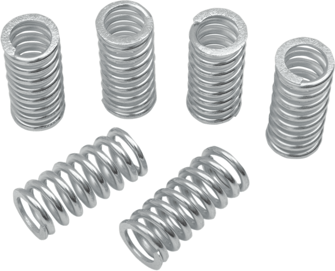BELT DRIVES LTD. DS-360156 Clutch Springs - 6 Pack