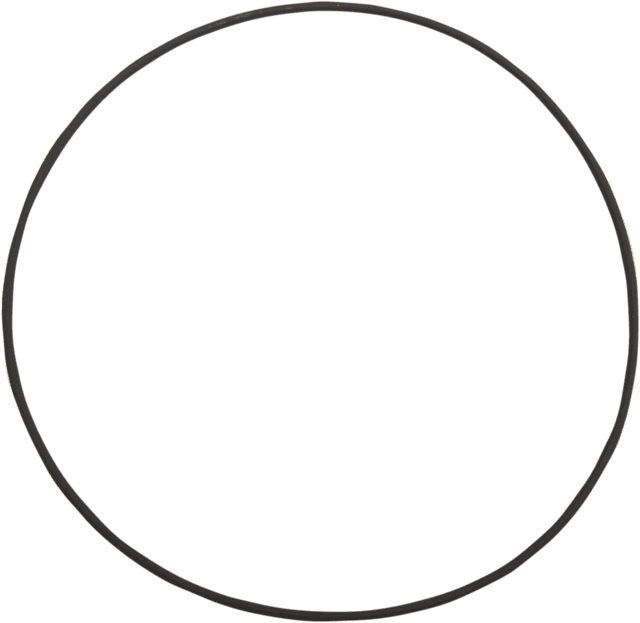 JIMS DS-376546 Cam Cover Large O-Ring