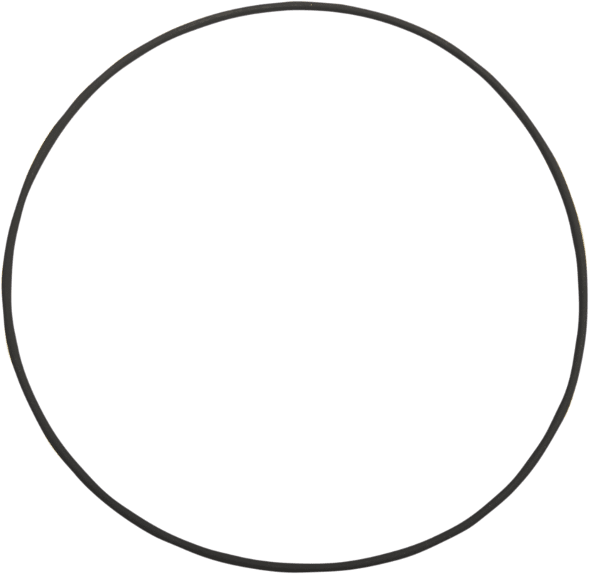 JIMS DS-376546 Cam Cover Large O-Ring