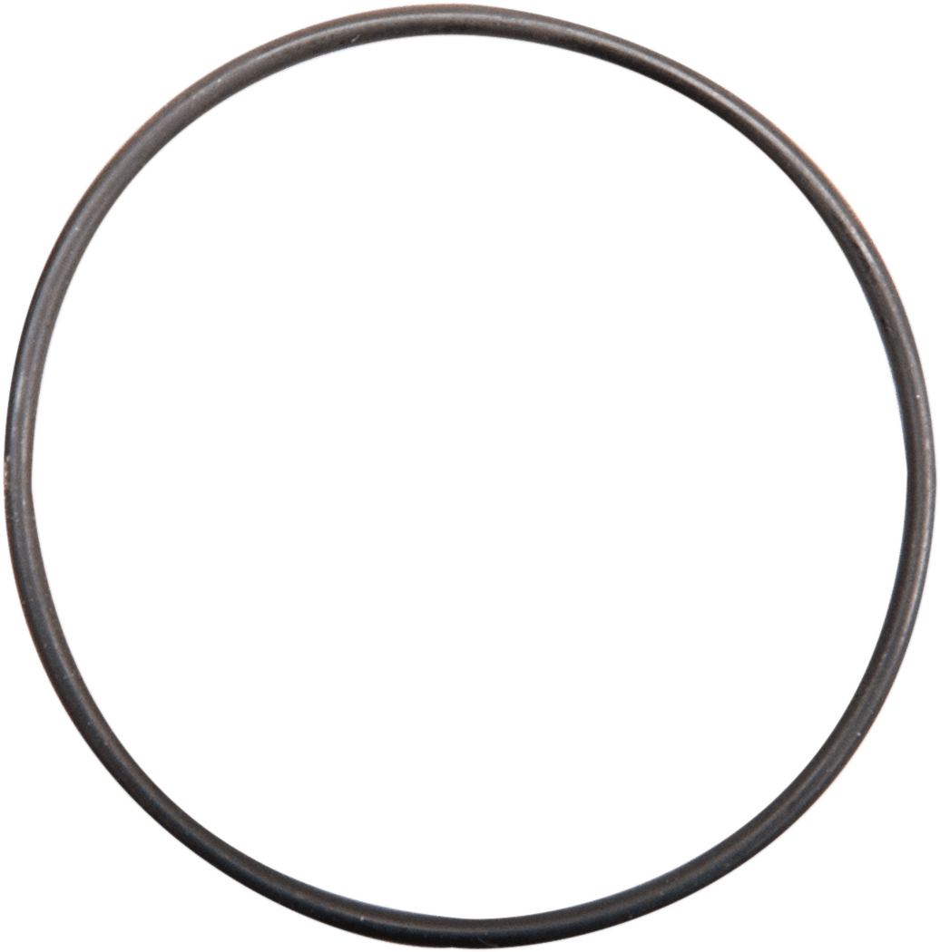 JIMS DS-376547 Cam Cover Small O-Ring