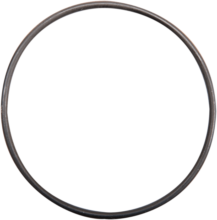 JIMS DS-376547 Cam Cover Small O-Ring
