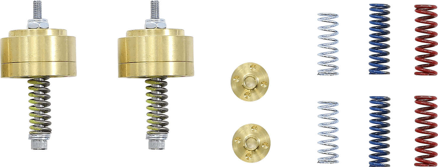 RACE TECH FEGV3801 Gold Valve Cartridge Fork Emulators for Damping Rod Forks - 31.00 mm