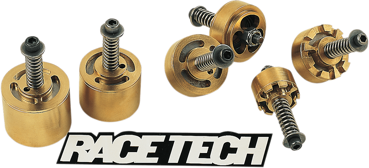 RACE TECH FMGV-S2043 Fork Kit - 20 mm - RT Gold Valve - Standard