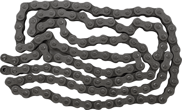 EK K428SR-132 428 SR - Heavy-Duty Non-Sealed Chain - 132 Links — image 1 of 2
