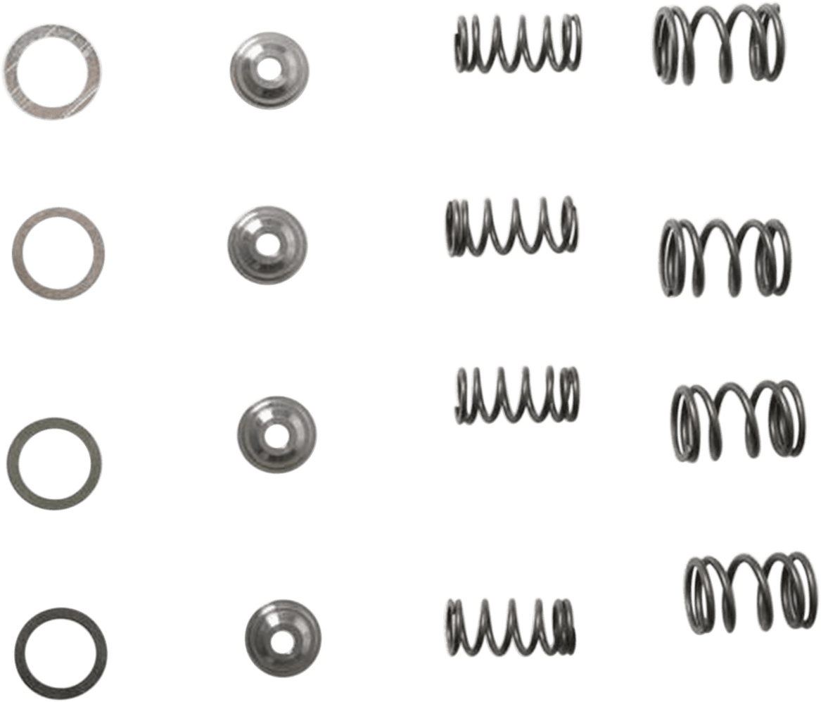 KIBBLEWHITE KW-30-3041 Valve Spring Kit - 0.400" Lift - Honda