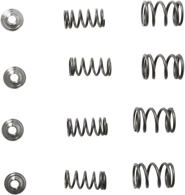 KIBBLEWHITE KW-30-3111 Valve Spring Kit - 0.465" Lift - Honda