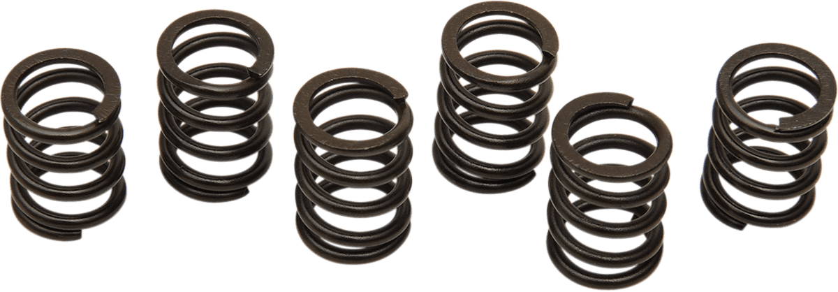 BARNETT MT-12-6 Clutch Spring Set - TL1000R/S
