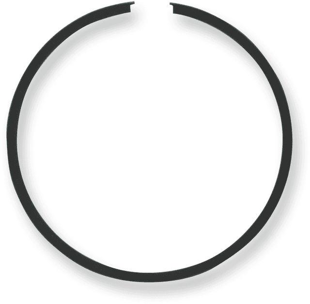 PARTS UNLIMITED R09-785-2 Ring Set