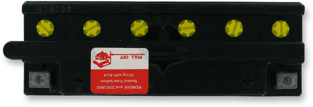 PARTS UNLIMITED RCB16AL-A2 Battery - RCB16AL-A2 — image 2 of 2